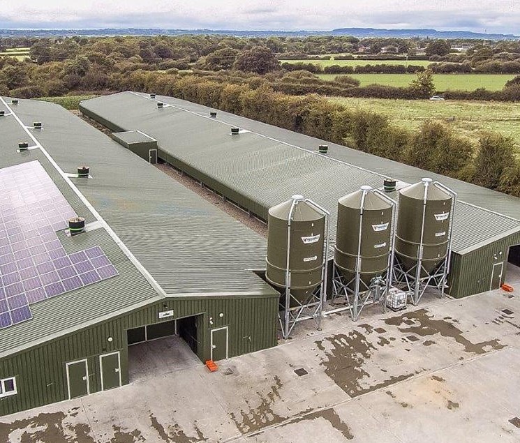 Steel Structure Pig Shed